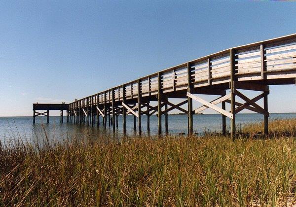 Fishing Piers in Citrus County